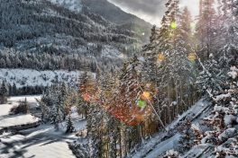 Hibernation - E - 2017 - 47 x 72 cm