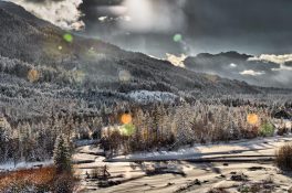 Hibernation II - B - 2017 - 47 x 72 cm