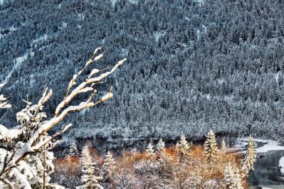 Hibernation III - A - 2017 - 47 x 72 cm