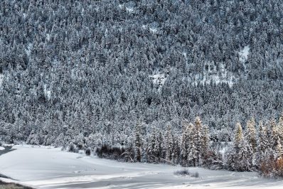 Hibernation III - B - 2017 - 47 x 72 cm