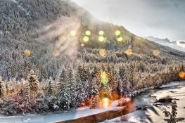 Hibernation III - D - 2017 - 47 x 72 cm