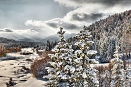 Hibernation III - E - 2017 - 47 x 72 cm