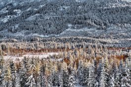 Hibernation IV - 2017 - 47 x 72 cm