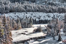 Hibernation V - 2017 - 47 x 72 cm