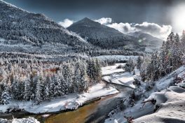 Hibernation VI - 2017 - 47 x 72 cm