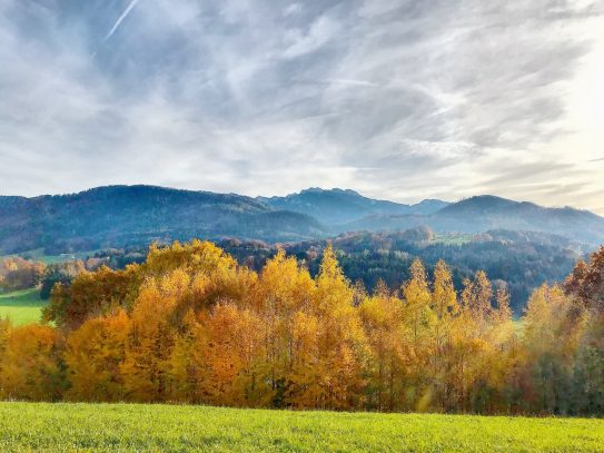 Kampenwand im Goldrausch_Foto H Reiter