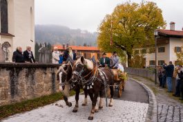 Leonhardiritt-Rossholzen-1540242