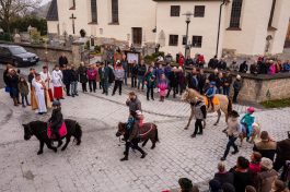 Leonhardiritt-Rossholzen-1540319