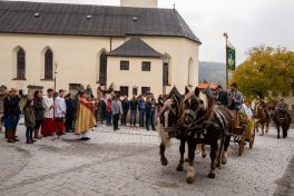 Leonhardiritt-Rossholzen-1540345