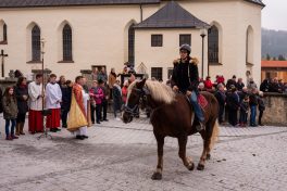 Leonhardiritt-Rossholzen-1540365