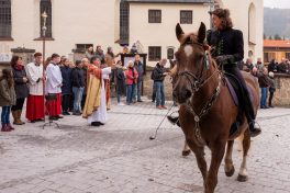 Leonhardiritt-Rossholzen-1540386