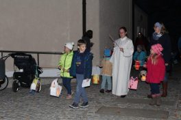 Martinszug Wildenwart (22)