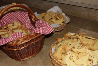 Martinszug Wildenwart (8)