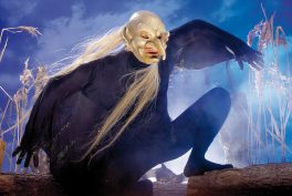 Pressefoto Ankunft der Luz