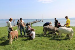 01Fuer_Familien_Petra_Schmieder