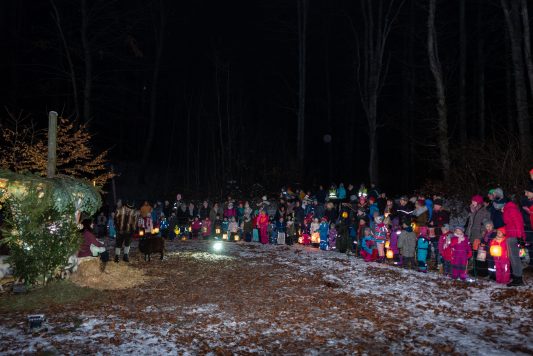 Krippe-Buchenwald-1570218