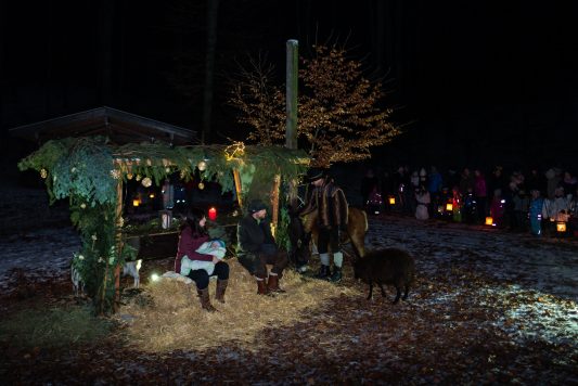 Krippe-Buchenwald-1570224