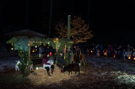 Krippe-Buchenwald-1570226