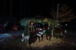 Krippe-Buchenwald-1570269