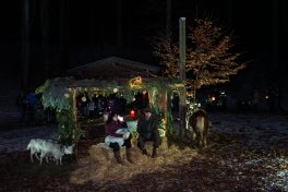 Krippe-Buchenwald-1570287