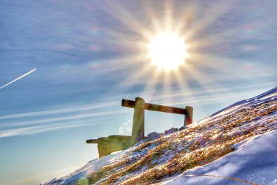 kl-Natürliche Sonnenbank 2018_Foto H. Reiter