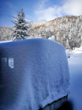 3546f57f-9deb-4eab-88f7-1c092db56e8a