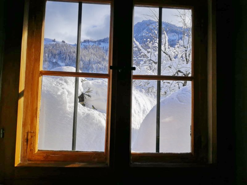 584b2172-647c-4e3c-bfef-7498f61d89d9