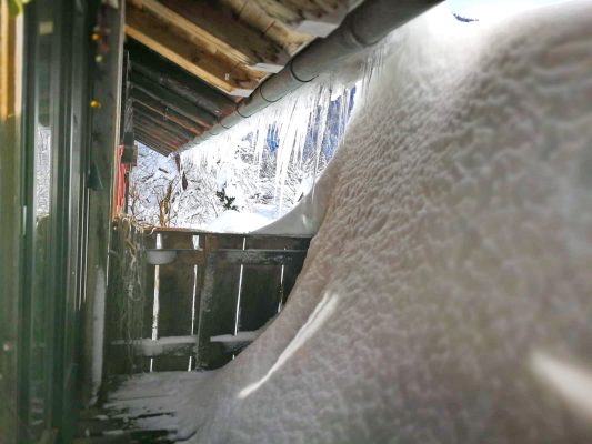 8b8f3cef-fc80-4e81-88d3-9c032a847540