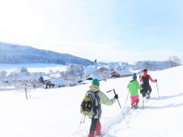 Antworter Wintertraum II