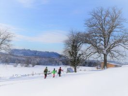 Antworter Wintertraum III