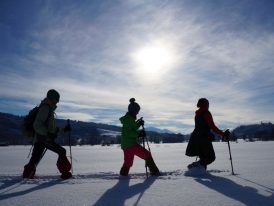 Antworter Wintertraum IV