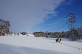 Antworter Wintertraum V