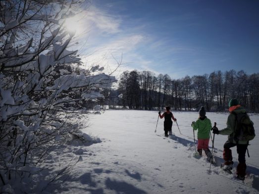 Antworter Wintertraum VII