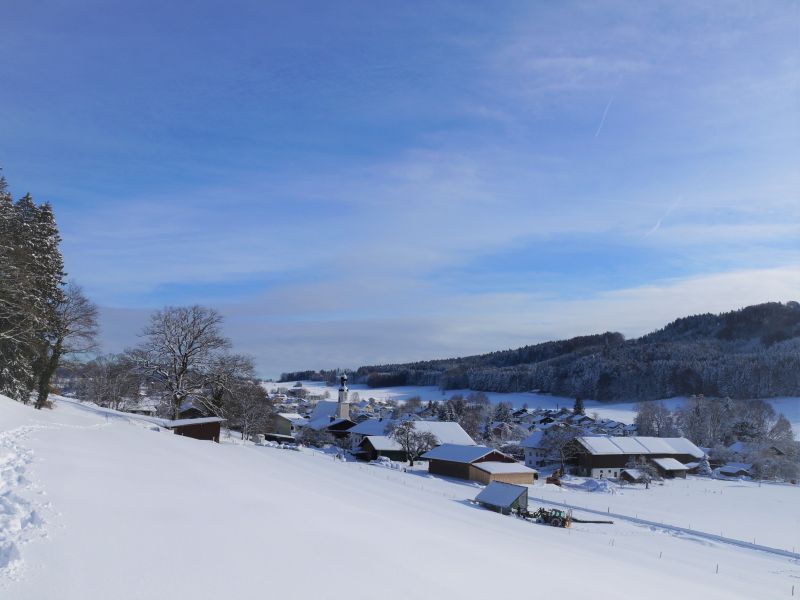 Antworter Wintertraum VIII