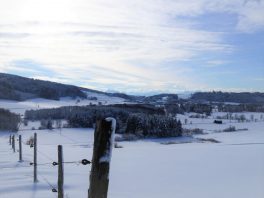 Antworter Wintertraum VIIIII