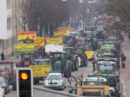 P078 DemoBrennernordzulaufLandratsamtRo