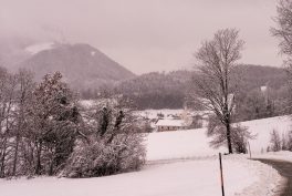 Winter-Samerberg-1009417
