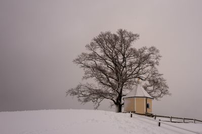 Winter-Samerberg-1600071