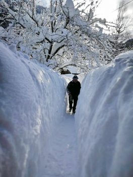 ce61eac7-9dd1-4f6d-8568-8aa8d18830ad