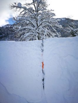 eee0dce3-1053-4cdd-b1ee-1cbea7fbc2ce