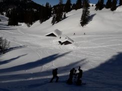 5a2f12f5-dcfb-496b-a046-6e053f1f38db