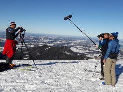 8a5a18fd-2913-468d-8741-9f81f998767c