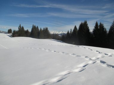 Schneeschuhtour