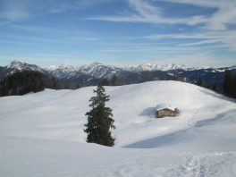 9.März Stoibermöseralm