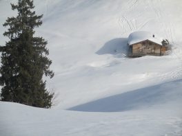 9.März Stoibermöseralm0