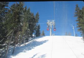 Steinplatte/Winklmoos