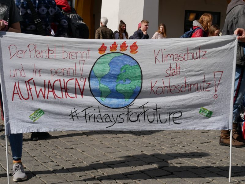 Friday For Future (7)