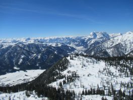 Steinplatte/Winklmoos