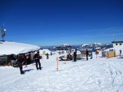 Steinplatte/Winklmoos