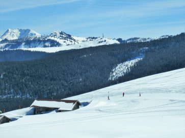 Steinplatte/Winklmoos